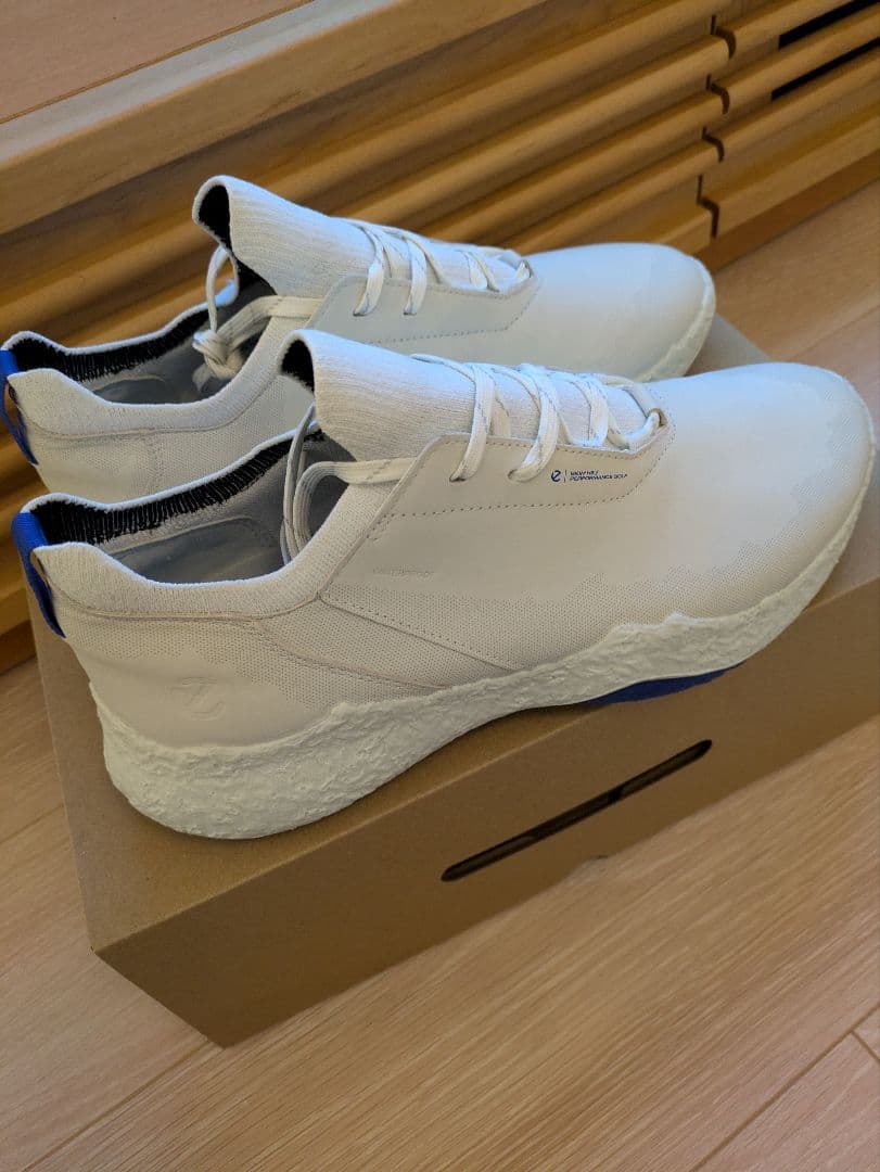 シューズ(男性用) ECCO golf biom h5 hybrid men