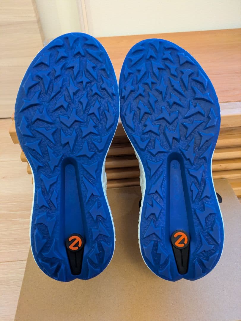 シューズ(男性用) ECCO golf biom h5 hybrid men