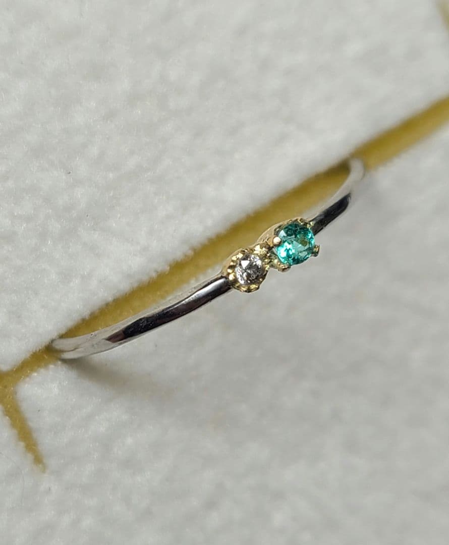 チコオーダーページ