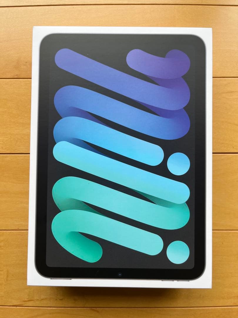 美品　Apple iPad mini 6 Wi-Fi 64gb スペースグレー