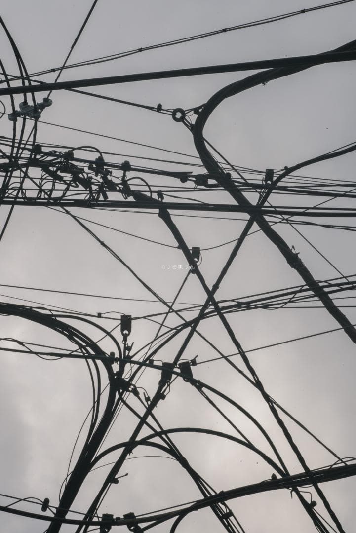 極美品！貴重な黒モデル！Leica Elmar 90mm F4 Black