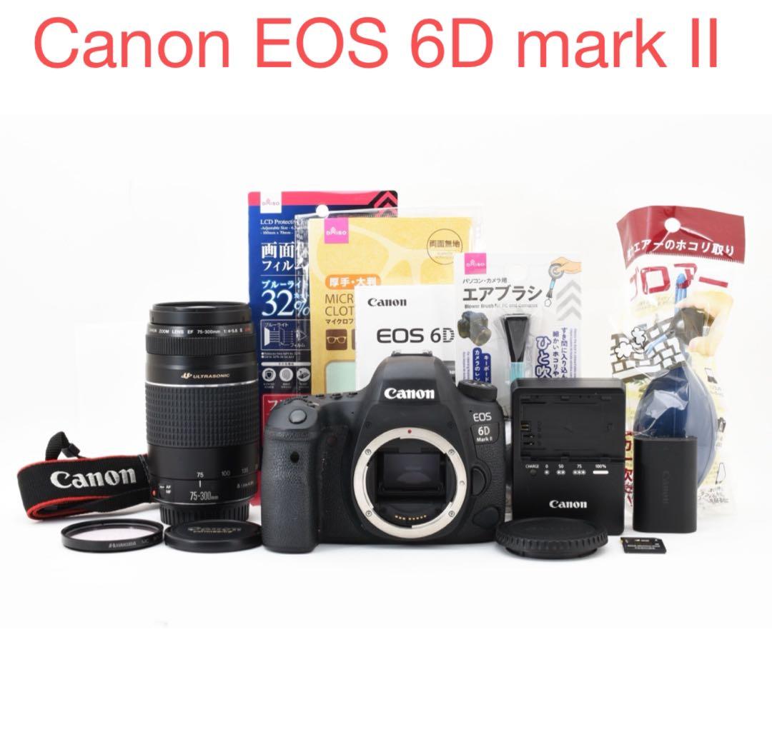 一眼レフカメラ Canon EOS 6D Mark II 望遠レンズセット