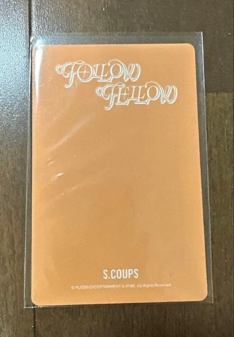 SEVENTEEN セブチ エスクプス followfellow トレカ