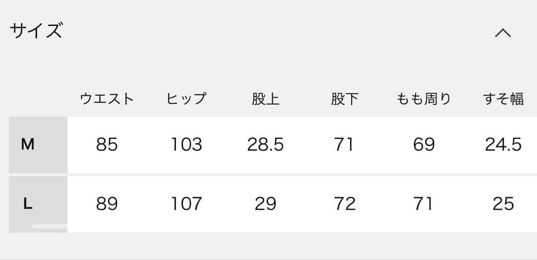 relume×dickies ピンタックワイドスラックス