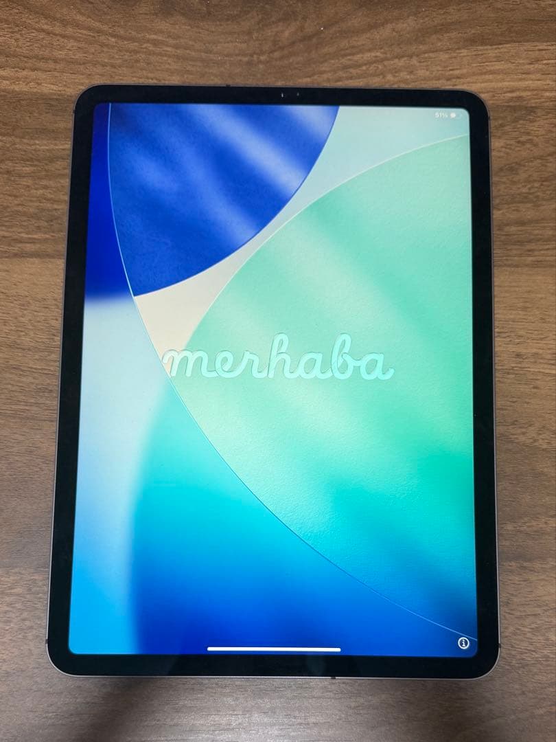 iPad Pro 11インチ 第1世代 Cellularモデル 512GB