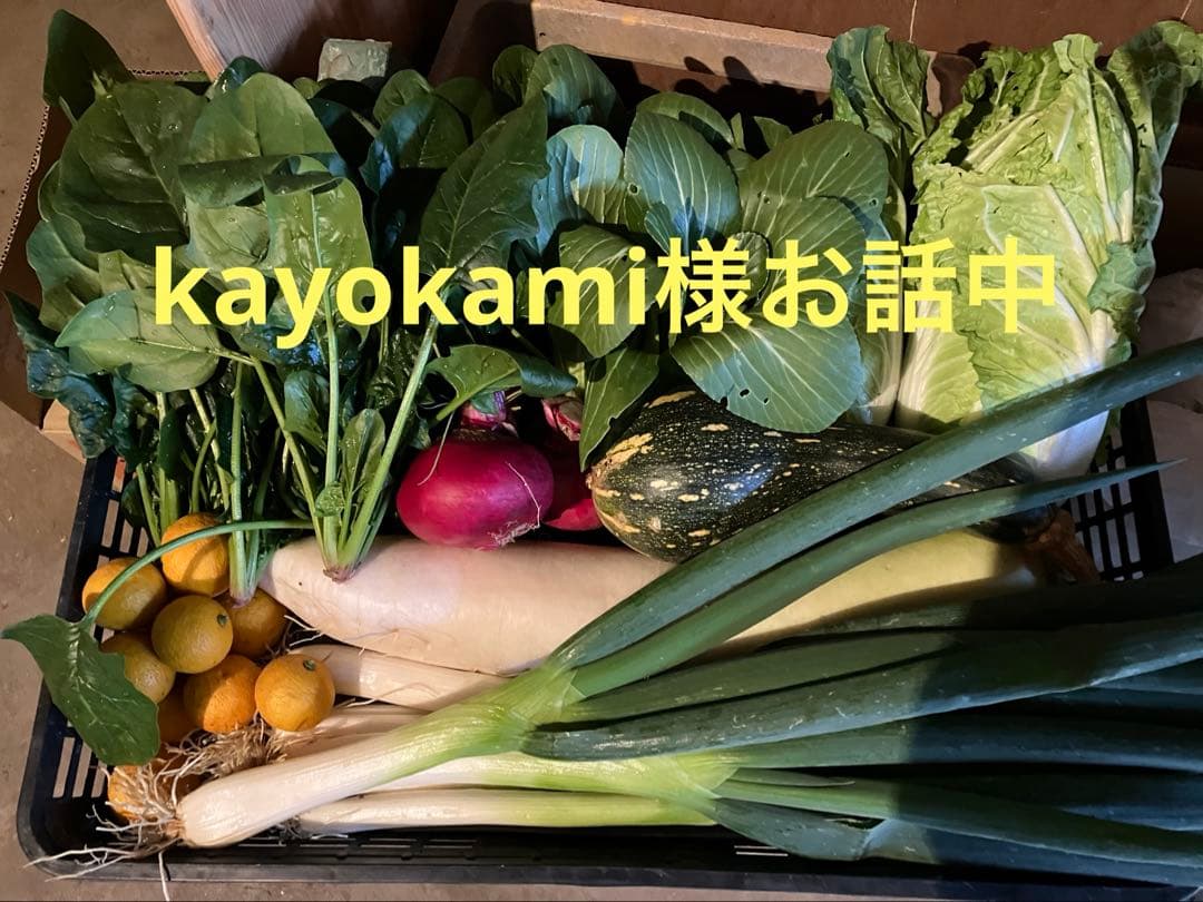 kayokami様お話中