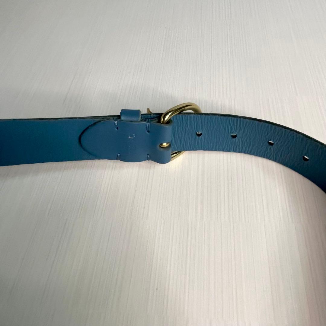 IL BISONTE カウハイド レザー ボディバック　ウエストバッグ　ブルー