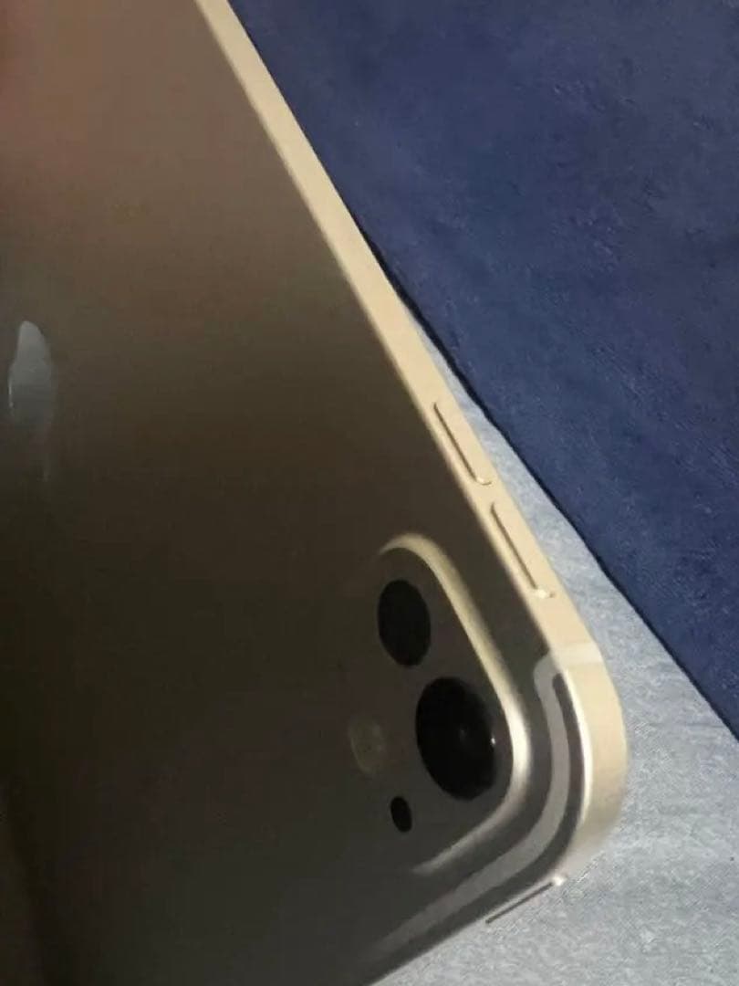 iPad Pro11 インチ 五世代 最新 M4 Wi-Fi 256GB