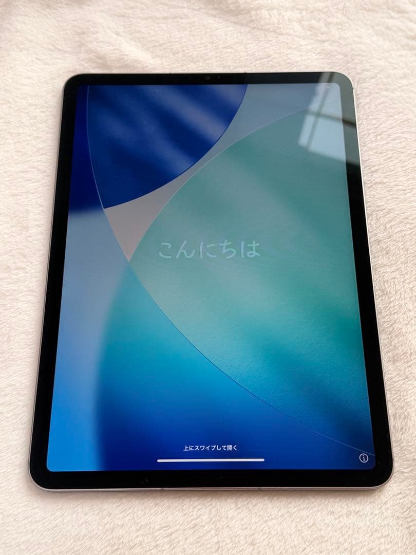 iPad Pro 11インチ（第4世代）Wi-Fi+Cellular 256GB