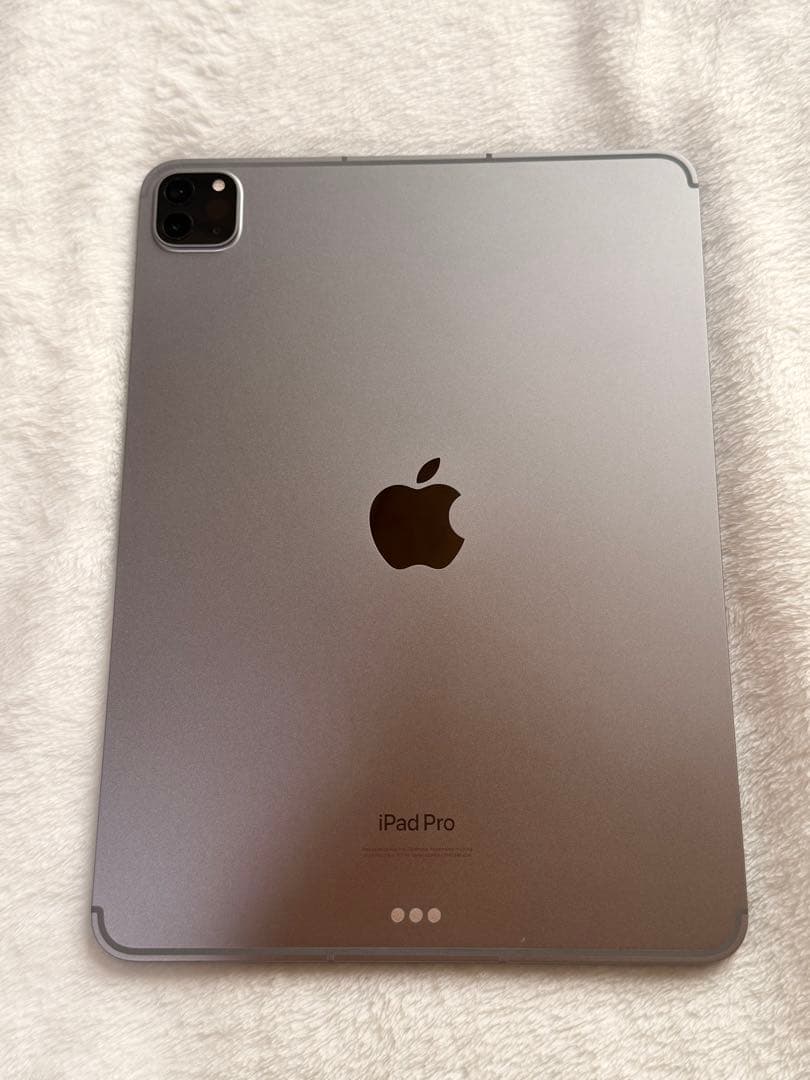 iPad Pro 11インチ（第4世代）Wi-Fi+Cellular 256GB