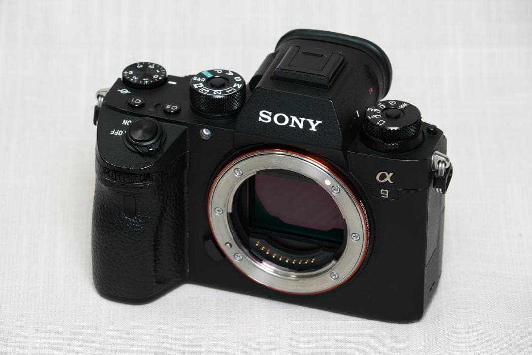 手羽先さん専用