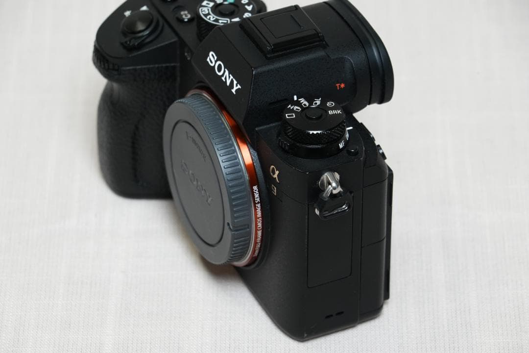 手羽先さん専用