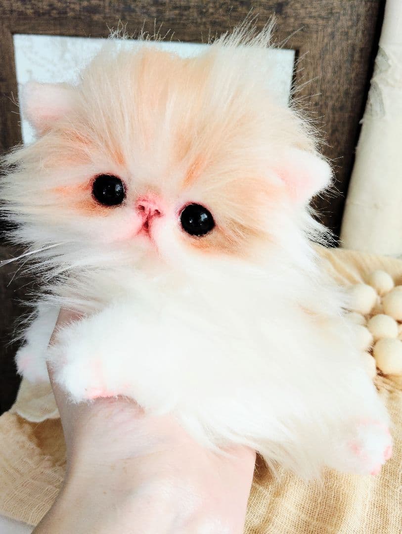 子猫のメイちゃん♡エキゾチックロングヘア♡アートドール♡ぬいぐるみ♡