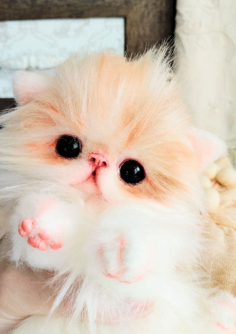 子猫のメイちゃん♡エキゾチックロングヘア♡アートドール♡ぬいぐるみ♡