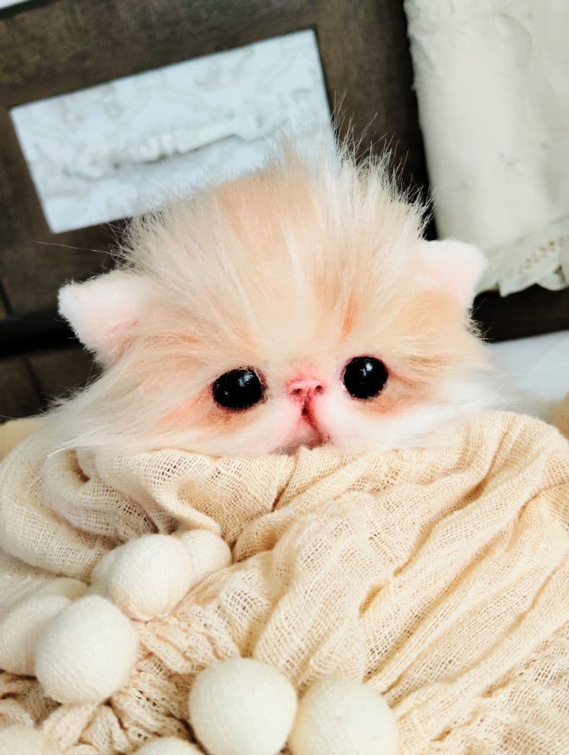 子猫のメイちゃん♡エキゾチックロングヘア♡アートドール♡ぬいぐるみ♡