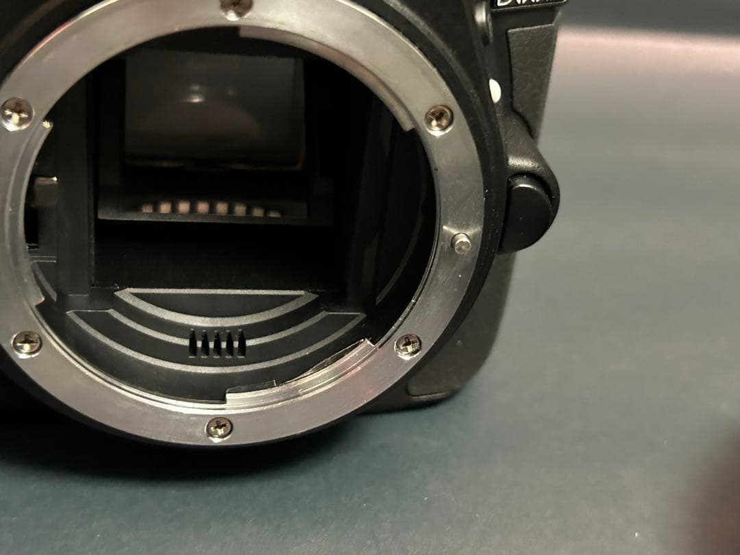 Nikon D5300 レンズセット【美品】