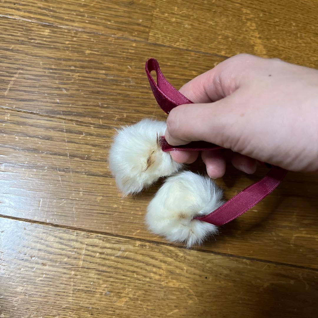 LIZLISA テディベア ワンピース BOOK リボン クリスマス