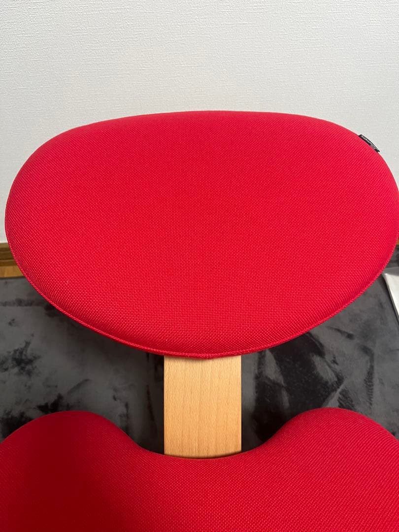 バランスラボ、サカモトハウス　バランスチェア　バランスイージー　カバー付き