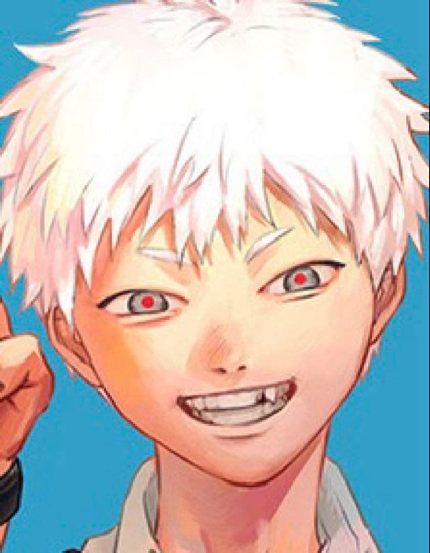 すめし様 コスプレ ウィッグ オーダー 専用ページ