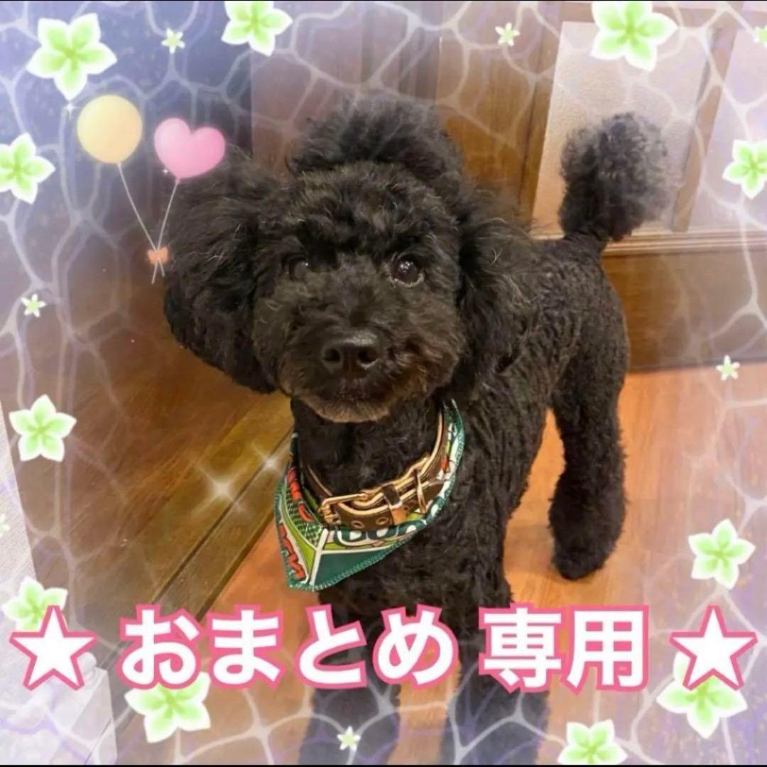 ⭐ MH 様 おまとめ 専用 ⭐ リピーター様 ⭐ 10月15日 ⭐