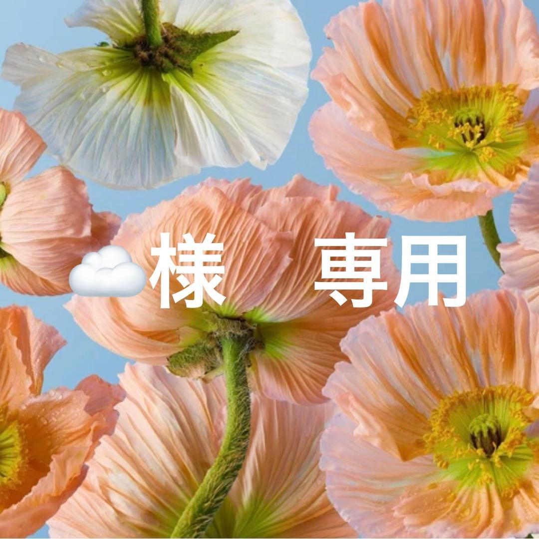 ☁️　本日発送　OP sサイズ