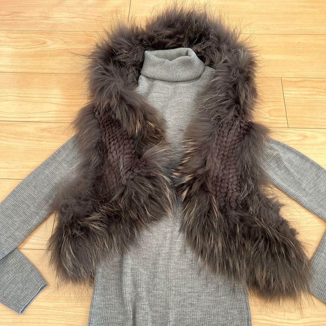 Diagram タヌキ(チャイニーズラクーン)ラビット リアルファーベスト