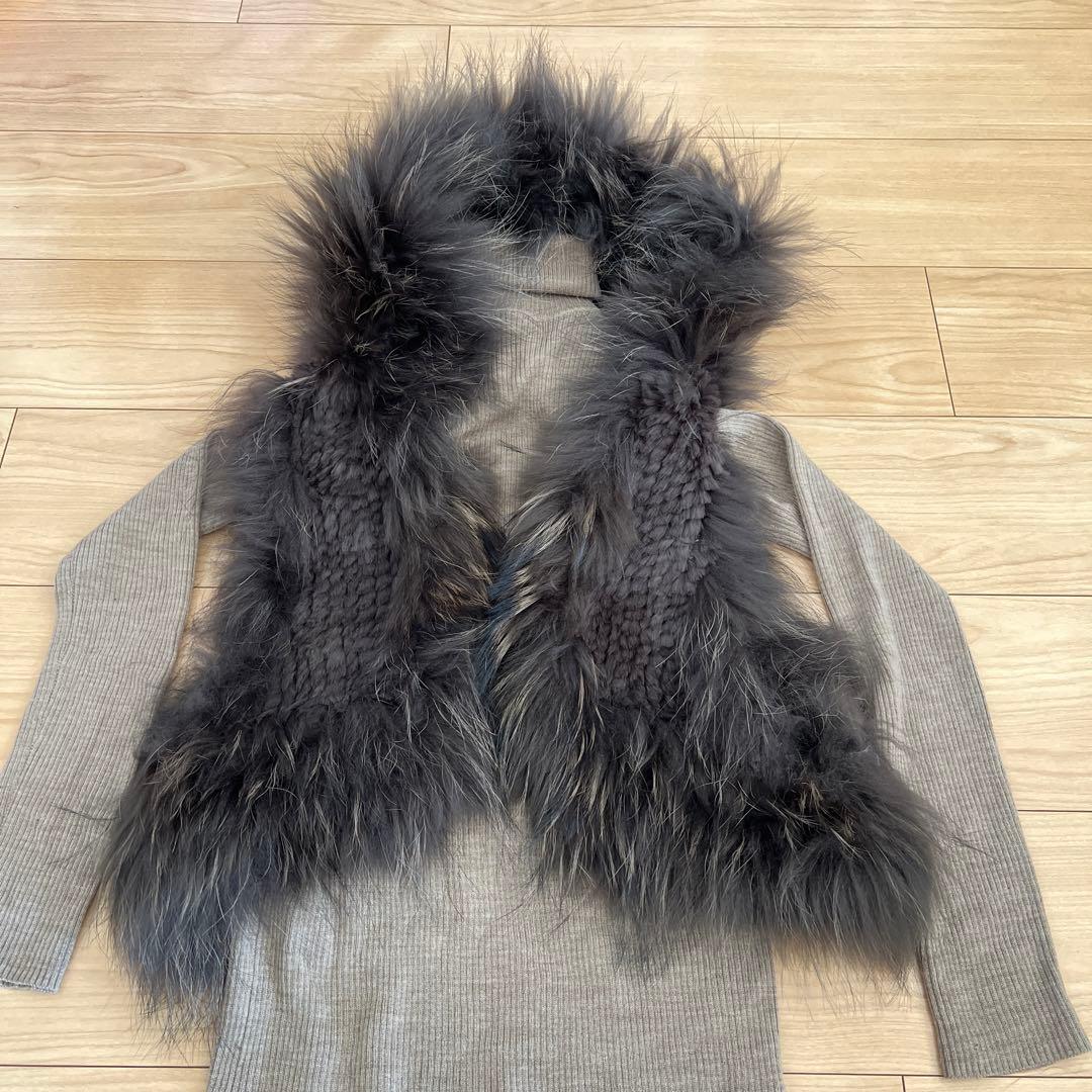 Diagram タヌキ(チャイニーズラクーン)ラビット リアルファーベスト