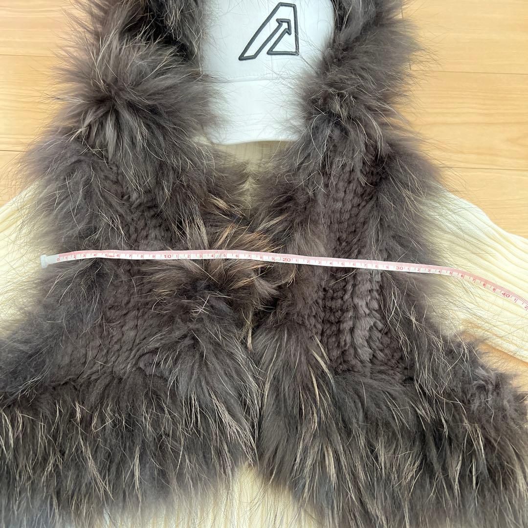 Diagram タヌキ(チャイニーズラクーン)ラビット リアルファーベスト