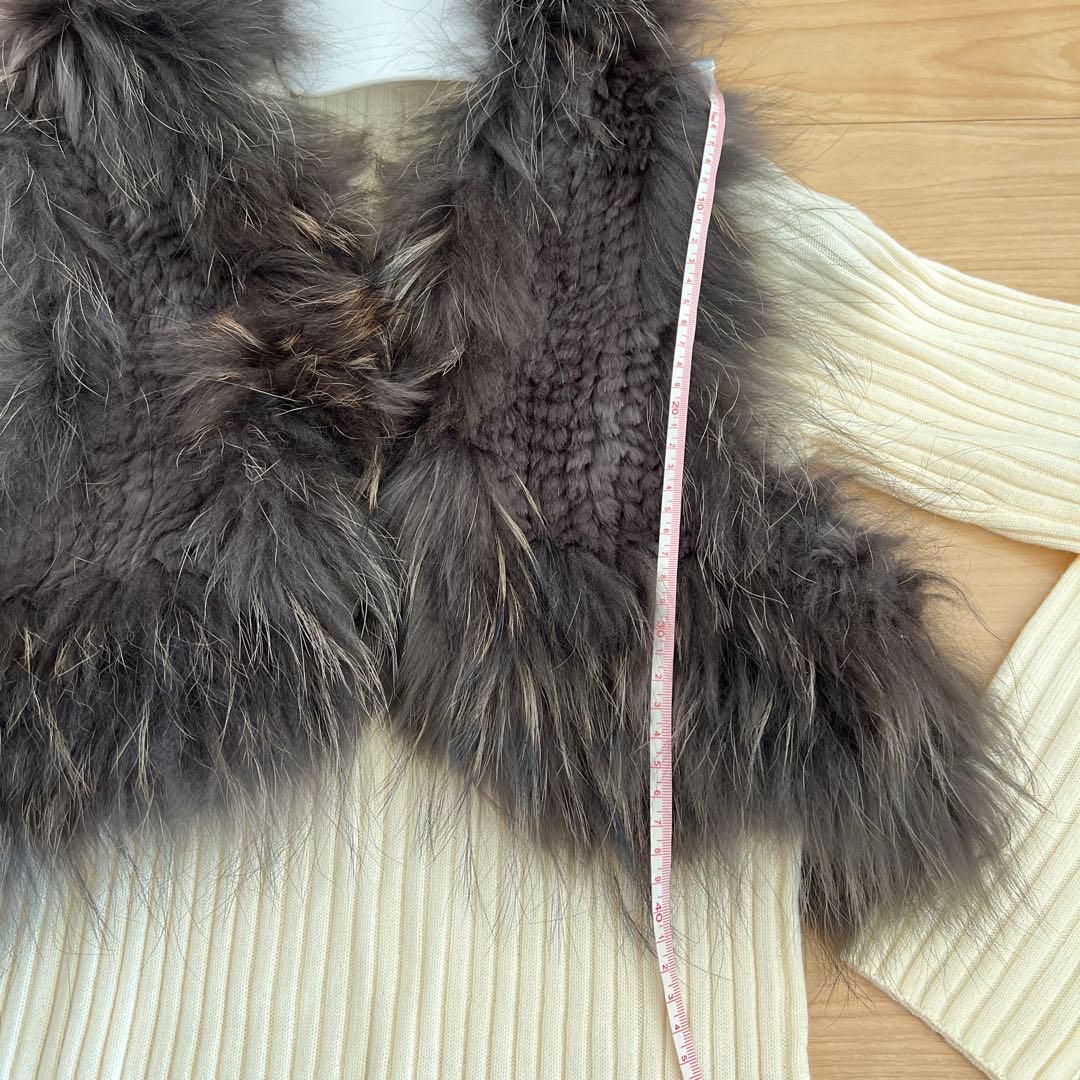 Diagram タヌキ(チャイニーズラクーン)ラビット リアルファーベスト