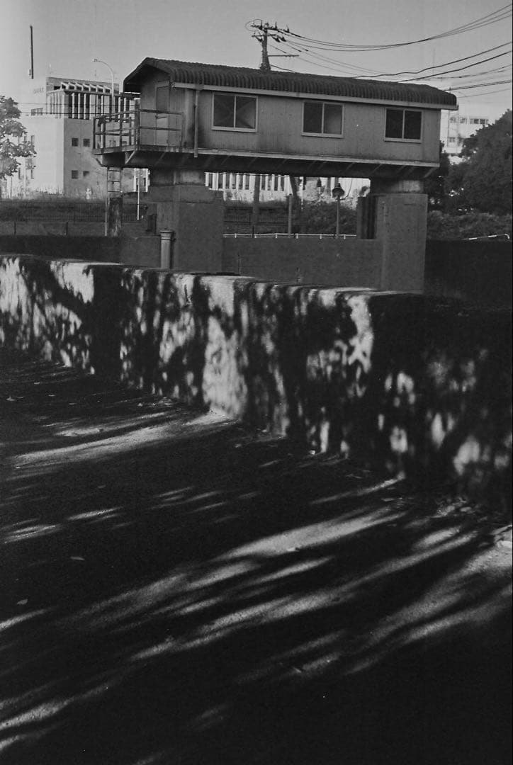 Leica DII　バルナックライカDII