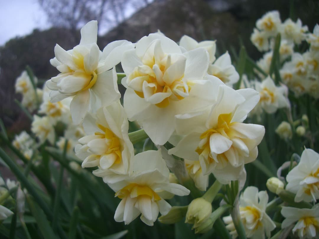 実写美⭕️【動作確認済】カシオ CASIO EXILIM EX-S600