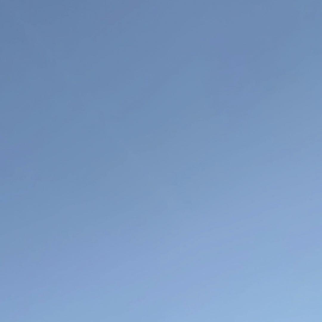 たかまるページ