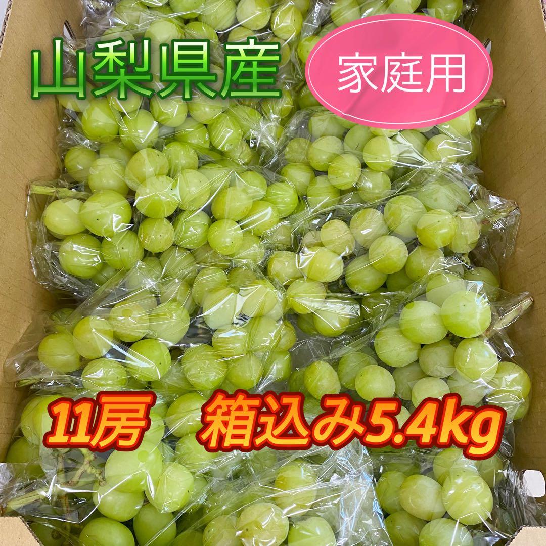 山梨県産　訳あり　家庭用　シャインマスカット　11房　箱込み5.4kg ②