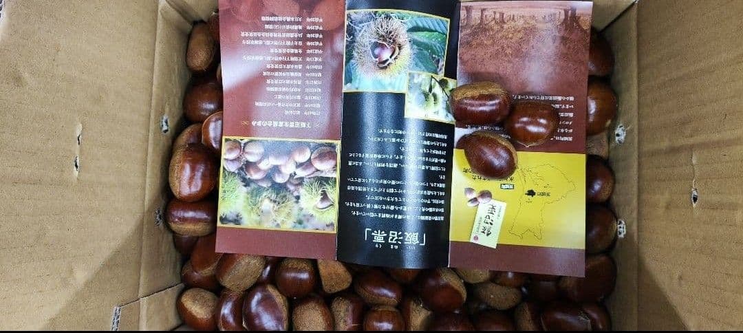 高級　飯沼栗　10kg