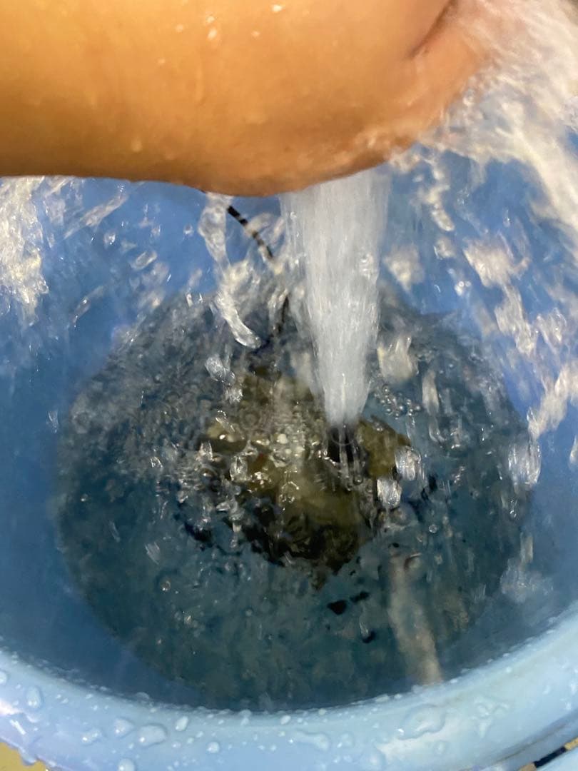 エーハイム 2260 最強クラス外部フィルター 60Hz用