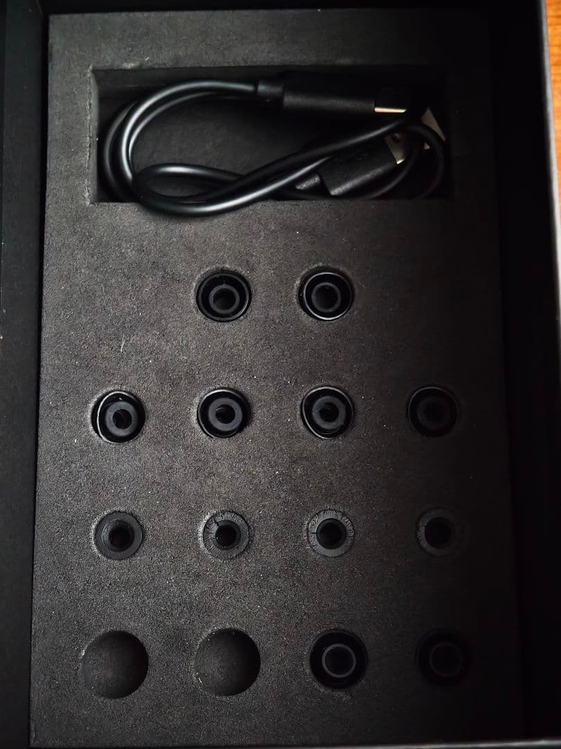 HiFiMAN svanar wireless 仕様変更前