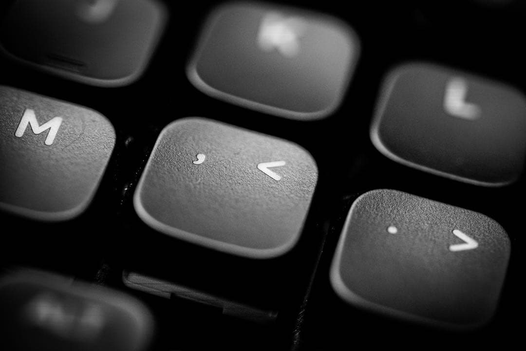 Panasonic LUMIX S 100mm f2.8 Lマウント