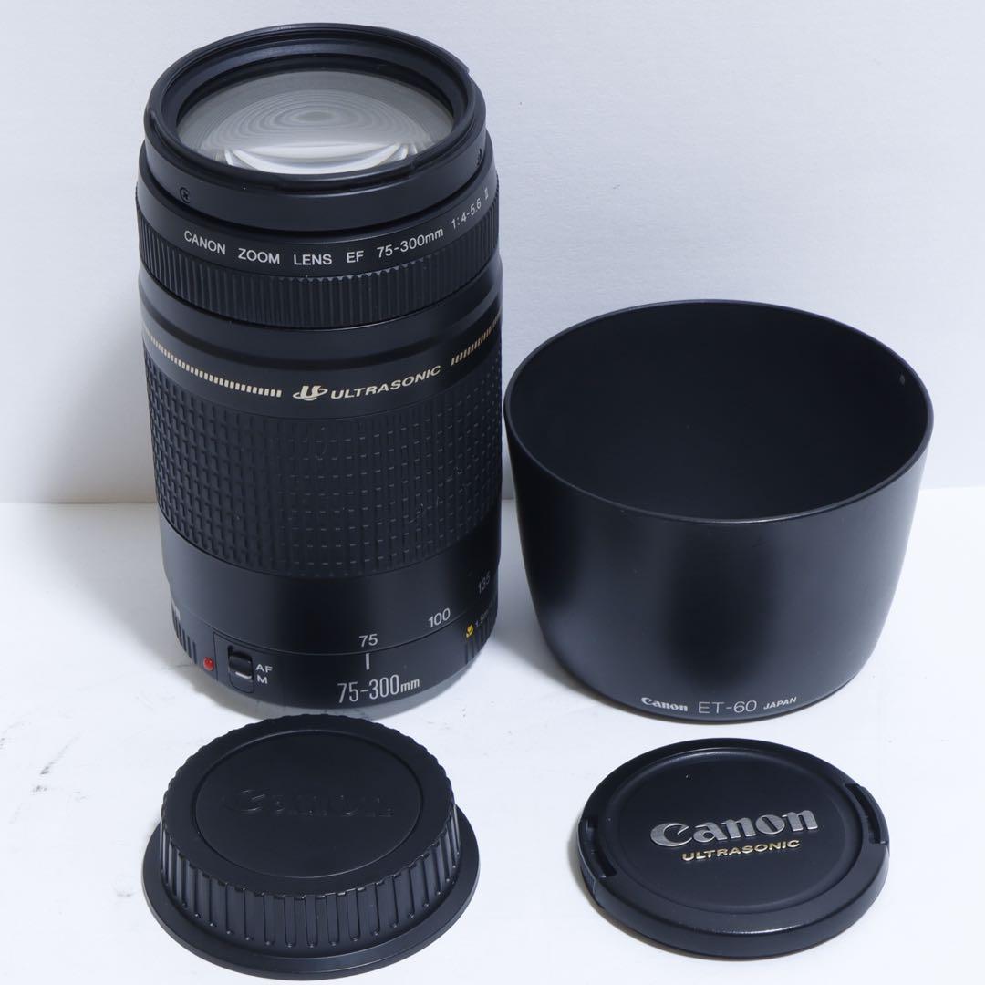 ◇超望遠&高速AF◇Canon純正 75-300mm II型 超望遠レンズ!!◇