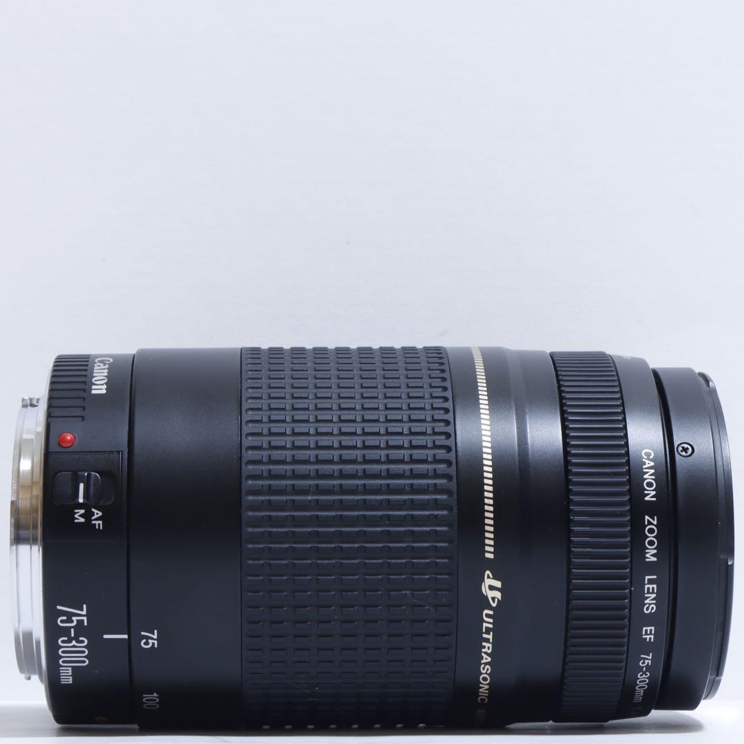 ◇超望遠&高速AF◇Canon純正 75-300mm II型 超望遠レンズ!!◇