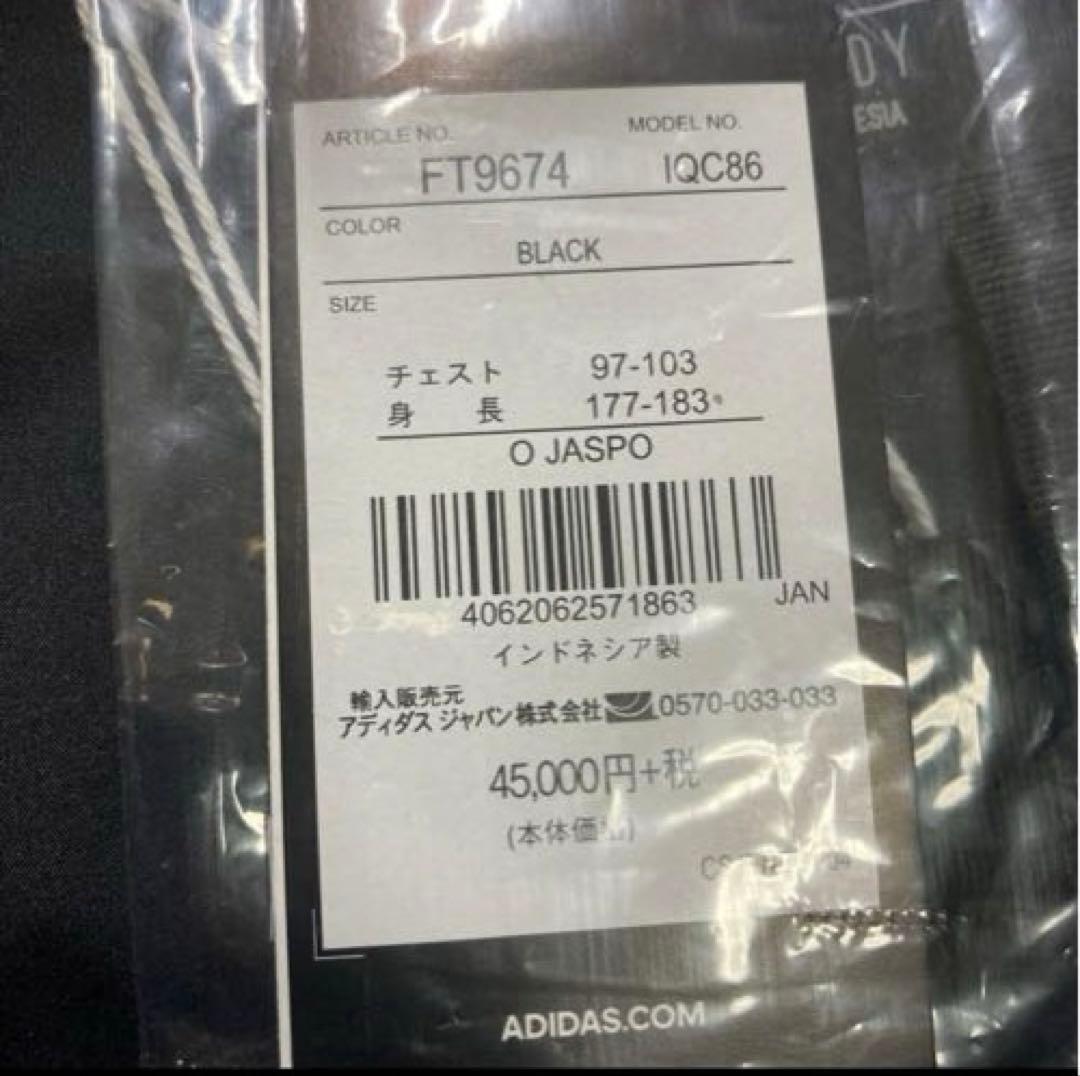 【未使用】アディダス テレックス マイシェルター ダウンパーカー ゴアテックス