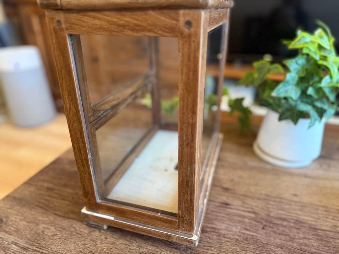 ※お値下げ※【展示品】ヴィンテージ 木製ガラスケース