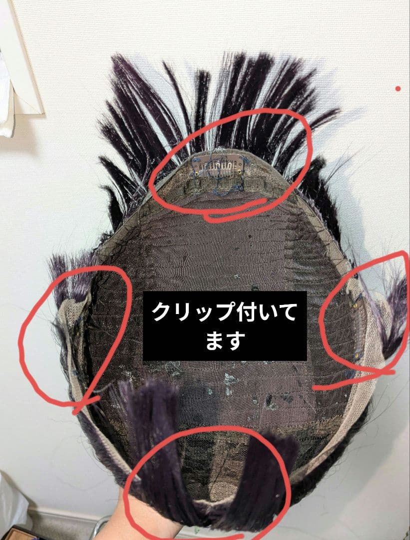 立花仙蔵 忍たま乱太郎 コスプレ ウィッグ