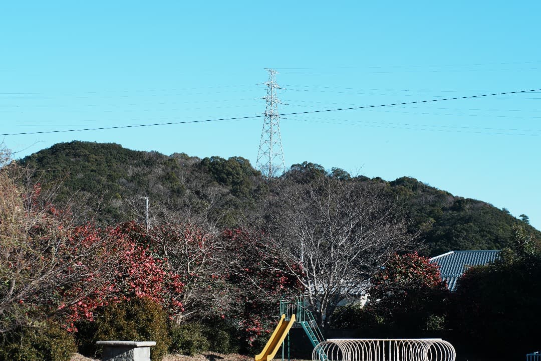 【整備テスト】オリンパス Zuiko Auto-S 40mm F1.4 379