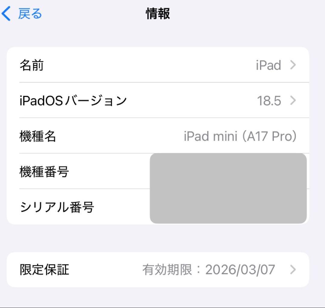 【美品】iPad mini A17 Pro Wi-Fi 128GB パープル