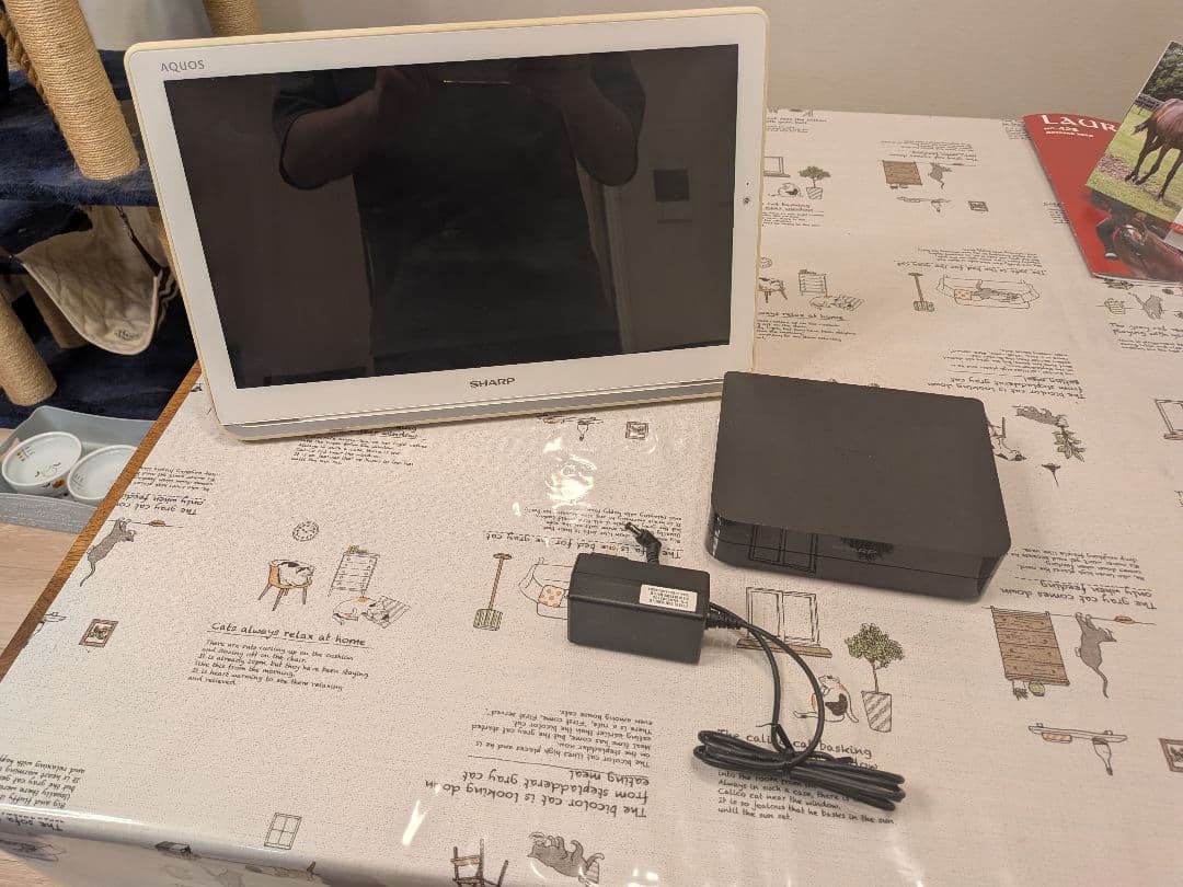 シャープ AQUOSポータブル 2T-C12AP-W