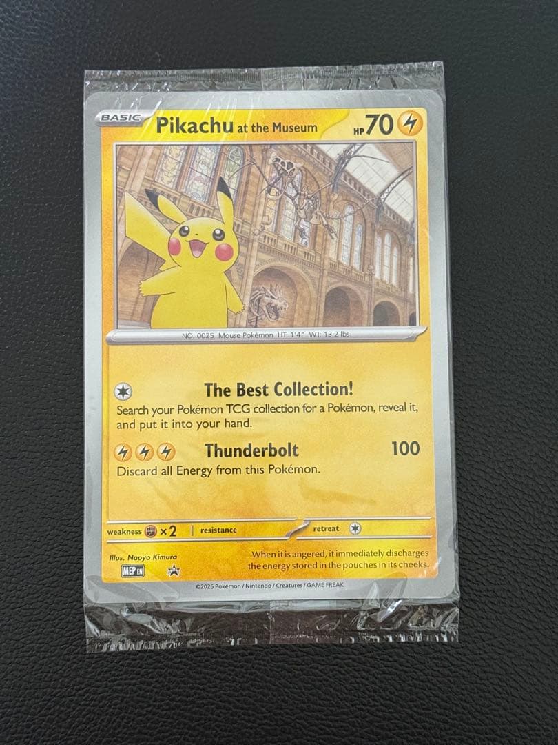 Pikachu at the Museum ピカチュウ ロンドン自然史博物館　①