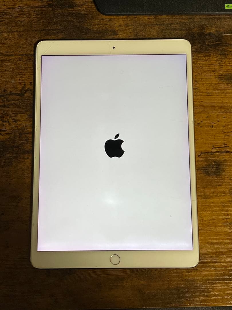 iPad Pro 256GB Applepencil付き 箱無し