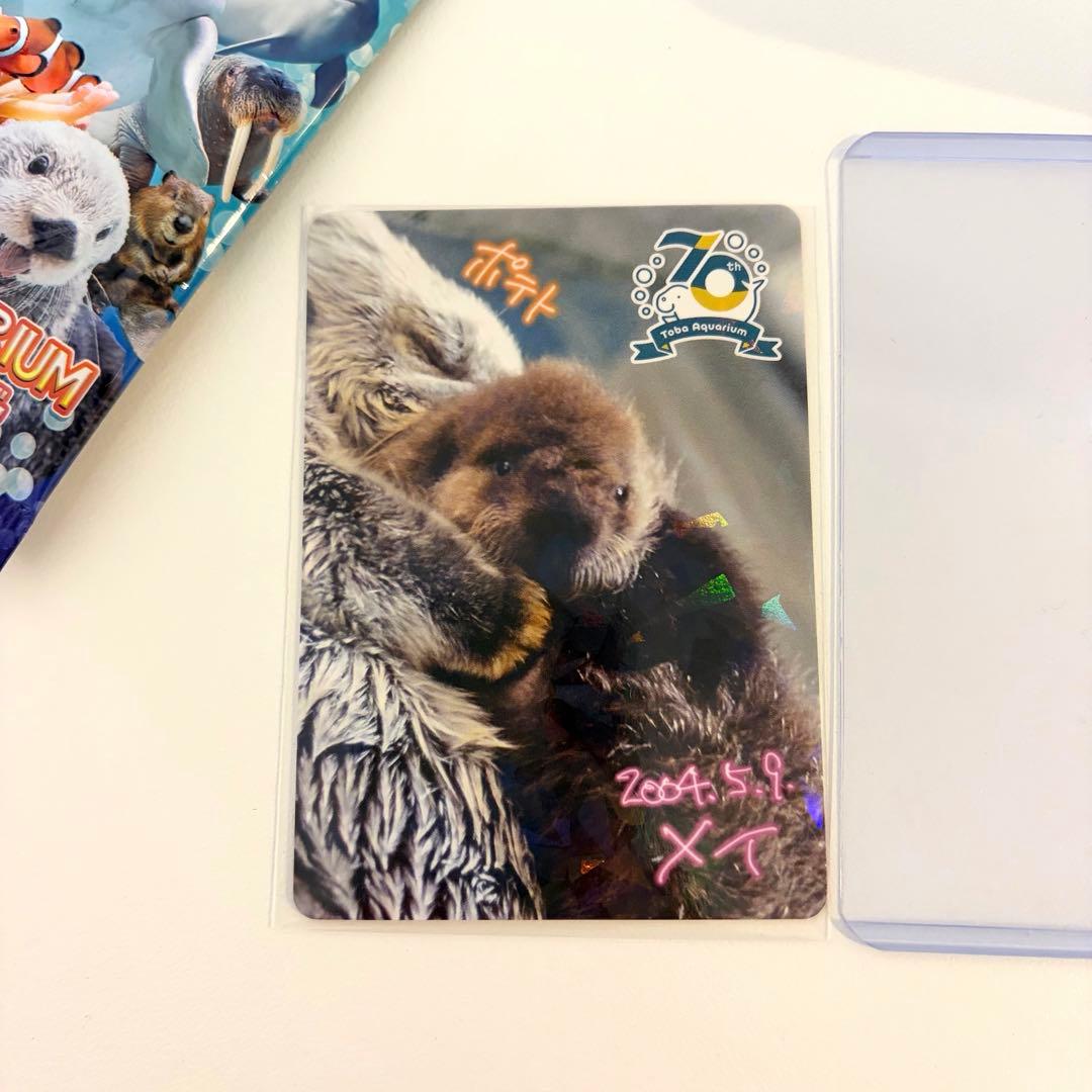 鳥羽水族館　コレクションカード　メイ　ポテト