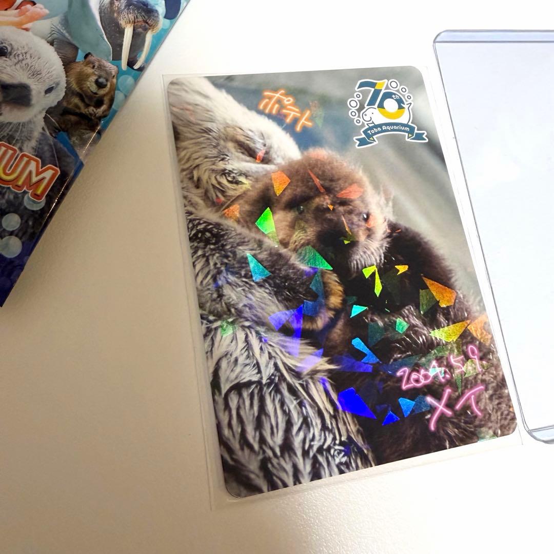 鳥羽水族館　コレクションカード　メイ　ポテト