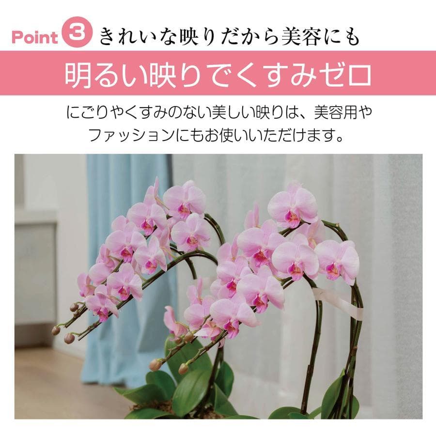 新品＊フィルムミラー 割れない鏡 全身鏡 幅100×高さ160cm キャスター付